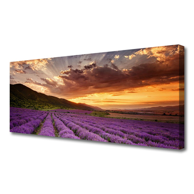 Quadro su tela Tramonto sul campo di lavanda