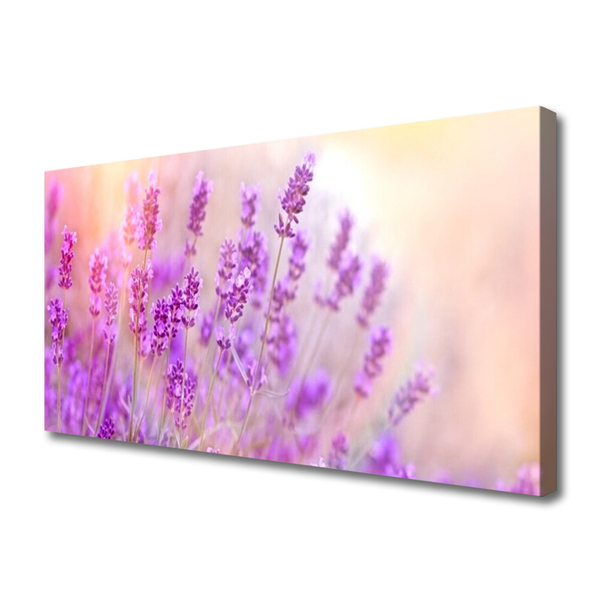 Quadro su tela Campo Di Lavanda Con Fiori Di Sole