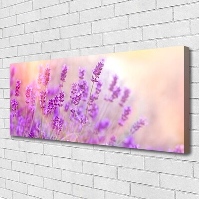 Quadro su tela Campo Di Lavanda Con Fiori Di Sole