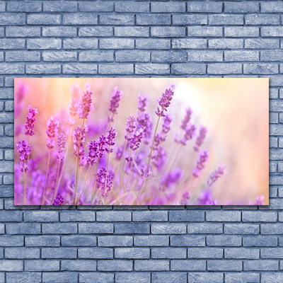 Quadro su tela Campo Di Lavanda Con Fiori Di Sole