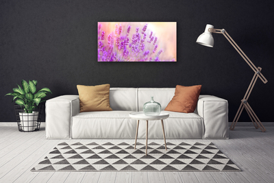 Quadro su tela Campo Di Lavanda Con Fiori Di Sole