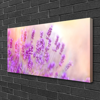 Quadro su tela Campo Di Lavanda Con Fiori Di Sole