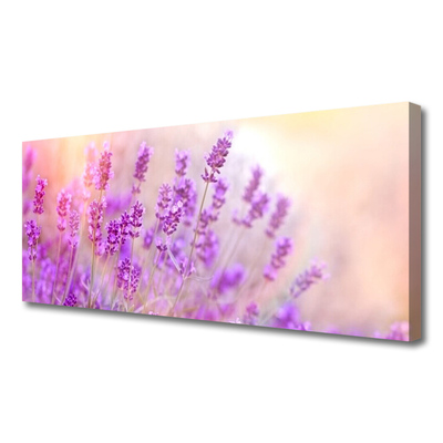 Quadro su tela Campo Di Lavanda Con Fiori Di Sole