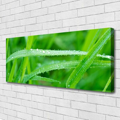 Quadro su tela Foglie, gocce di rugiada, natura