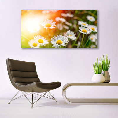 Quadro su tela Margherite Fiori Raggi