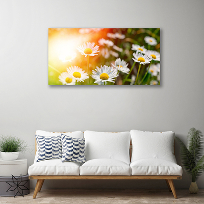 Quadro su tela Margherite Fiori Raggi