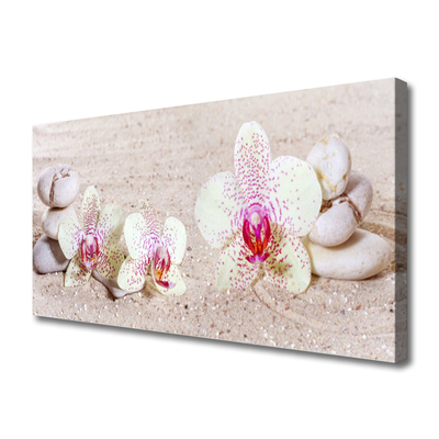 Quadro su tela Orchidea Orchidea Sabbia