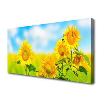 Quadro su tela Girasole, fiori, natura