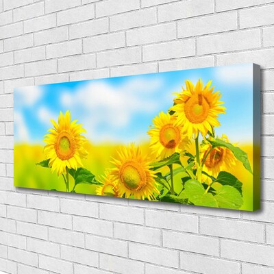 Quadro su tela Girasole, fiori, natura