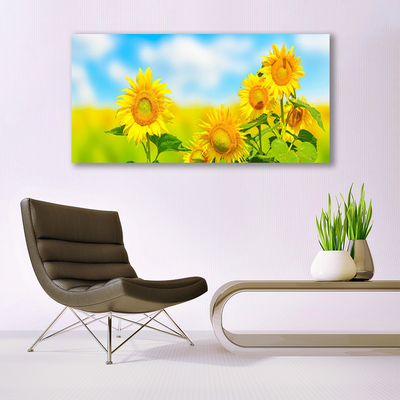 Quadro su tela Girasole, fiori, natura