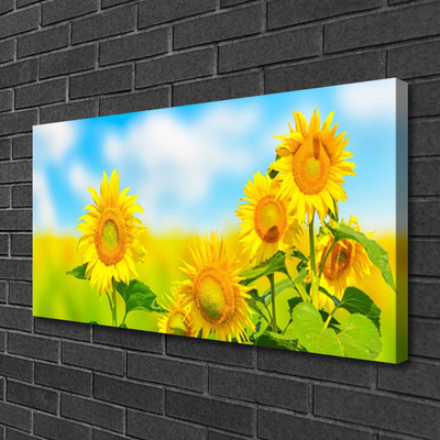 Quadro su tela Girasole, fiori, natura