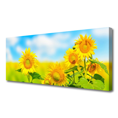 Quadro su tela Girasole, fiori, natura