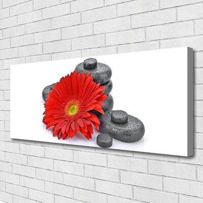 Quadro su tela Fiori di gerbera rossa