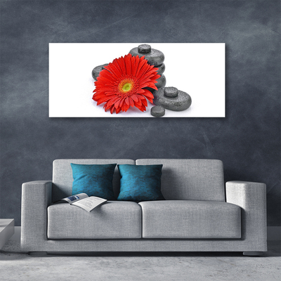 Quadro su tela Fiori di gerbera rossa