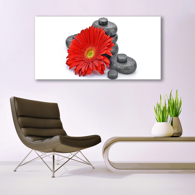 Quadro su tela Fiori di gerbera rossa