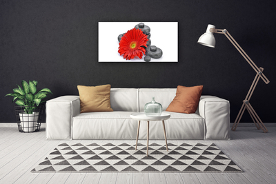 Quadro su tela Fiori di gerbera rossa