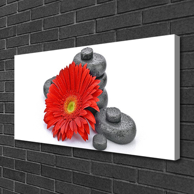 Quadro su tela Fiori di gerbera rossa