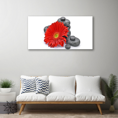 Quadro su tela Fiori di gerbera rossa