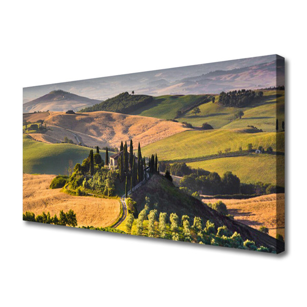 Quadro su tela Paesaggio dell'altopiano del Meadow Cottage