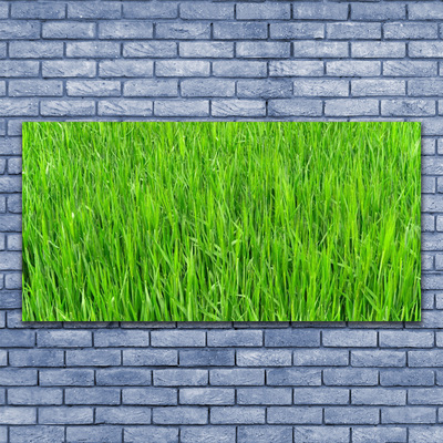 Quadro su tela Tappeto erboso dell'erba verde della natura