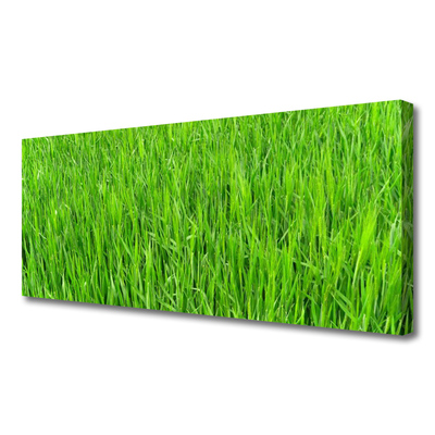 Quadro su tela Tappeto erboso dell'erba verde della natura