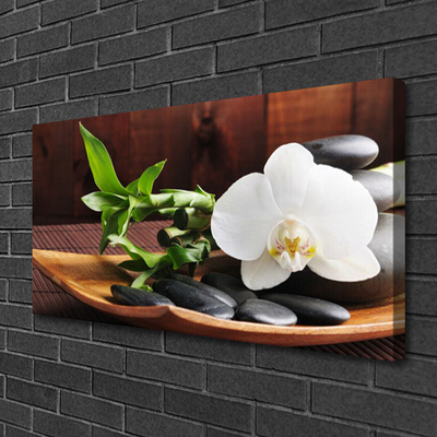 Quadro su tela Orchidea bianca di bambù Zen