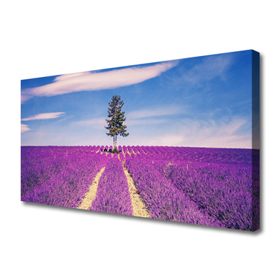 Stampa quadro su tela Albero del prato del campo di lavanda