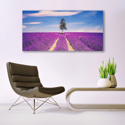 Stampa quadro su tela Albero del prato del campo di lavanda