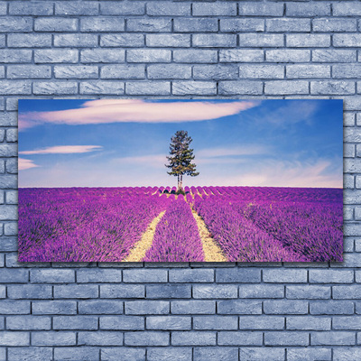 Stampa quadro su tela Albero del prato del campo di lavanda