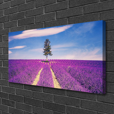 Stampa quadro su tela Albero del prato del campo di lavanda