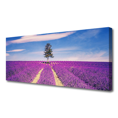 Stampa quadro su tela Albero del prato del campo di lavanda