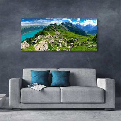 Quadro su tela Paesaggio della natura della montagna del prato