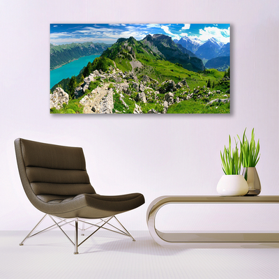 Quadro su tela Paesaggio della natura della montagna del prato