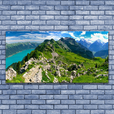 Quadro su tela Paesaggio della natura della montagna del prato