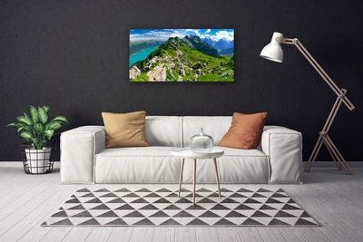 Quadro su tela Paesaggio della natura della montagna del prato