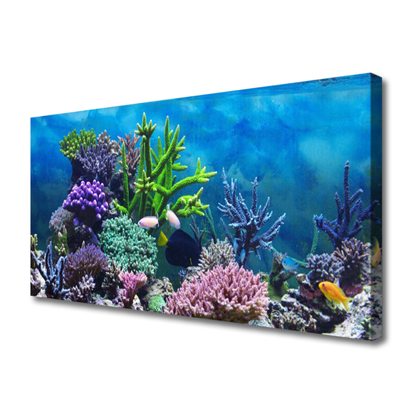 Foto quadro su tela Pesce sott'acqua acquario