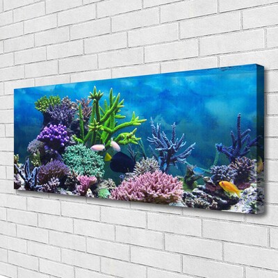 Foto quadro su tela Pesce sott'acqua acquario