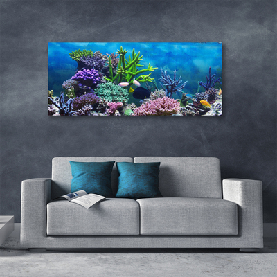 Foto quadro su tela Pesce sott'acqua acquario