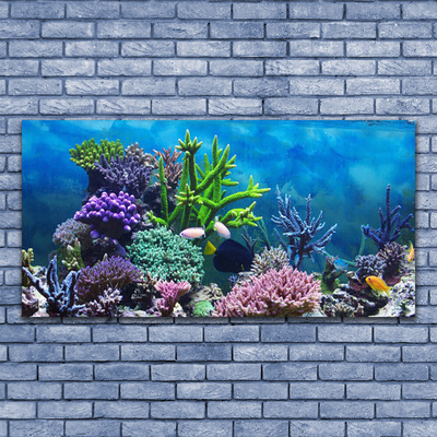 Foto quadro su tela Pesce sott'acqua acquario