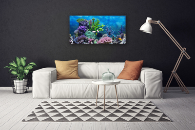 Foto quadro su tela Pesce sott'acqua acquario