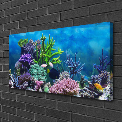 Foto quadro su tela Pesce sott'acqua acquario