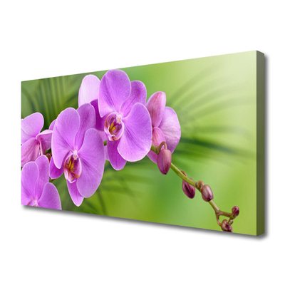 Foto quadro su tela Orchidea Fiori di orchidea