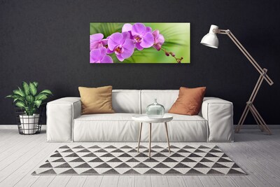 Foto quadro su tela Orchidea Fiori di orchidea