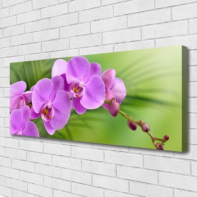 Foto quadro su tela Orchidea Fiori di orchidea