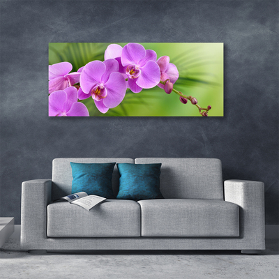 Foto quadro su tela Orchidea Fiori di orchidea