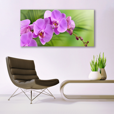 Foto quadro su tela Orchidea Fiori di orchidea