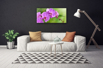 Foto quadro su tela Orchidea Fiori di orchidea