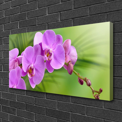 Foto quadro su tela Orchidea Fiori di orchidea