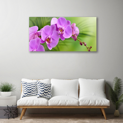 Foto quadro su tela Orchidea Fiori di orchidea