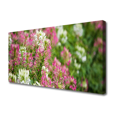 Foto quadro su tela Fiori di campo della natura